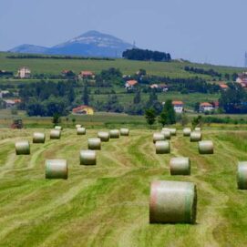 tomislavgrad_galerija_004